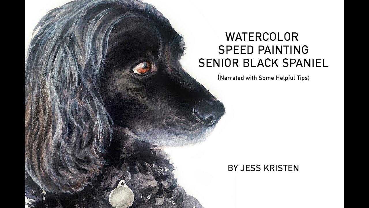 Watercolor Pet Portrait Speed Painting - Senior Black Spaniel (Narrated) | Jess Kristen