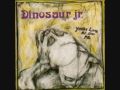 Dinosaur Jr - Kracked