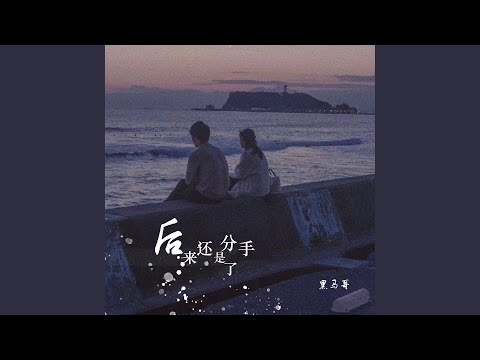 后来还是分了手 (DJ可乐版)