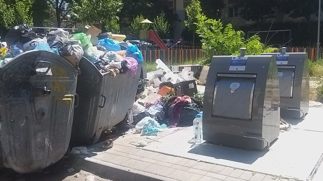 Iridexul răpus de gunoiul din Craiova