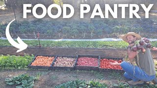 How I stored 3,215 lbs of food I grew myself | HOMESTEADING FOOD STORAGE HACKS