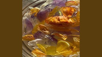 Delightful Backdrops for Cooling Favorites