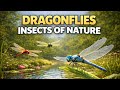 Dragonflies: Incredible Insects of Nature