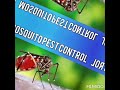 termite pest control for home