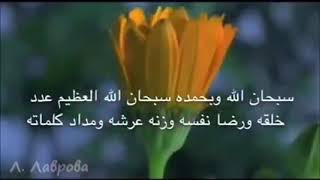 سورة الدخان سعيد الخطيب 🌹🌹