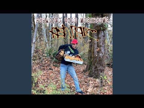 fish narc — Pray I Don't Fall in Love