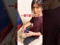 珍しいルービックキューブを一瞬で揃えてもらった！