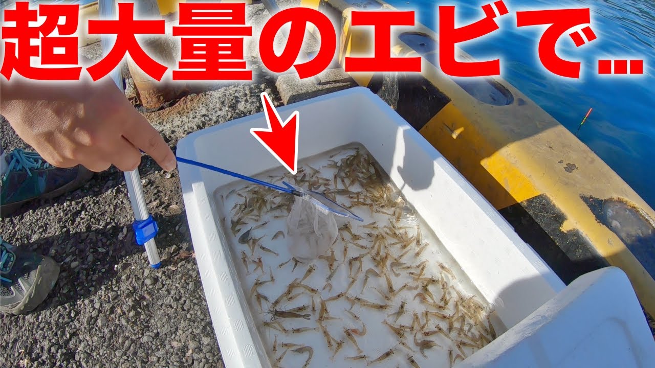 えびふらい EとM えびふらい EとM えびふらい EとM ZX フライロッド | TIEMCOフライ