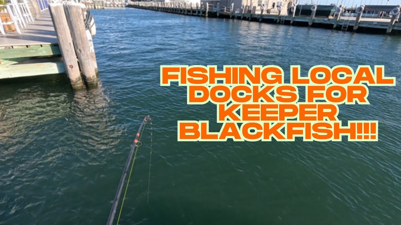 Рыбалка на тог в местных доках, когда ветер ВОЕТ, требуя предела!