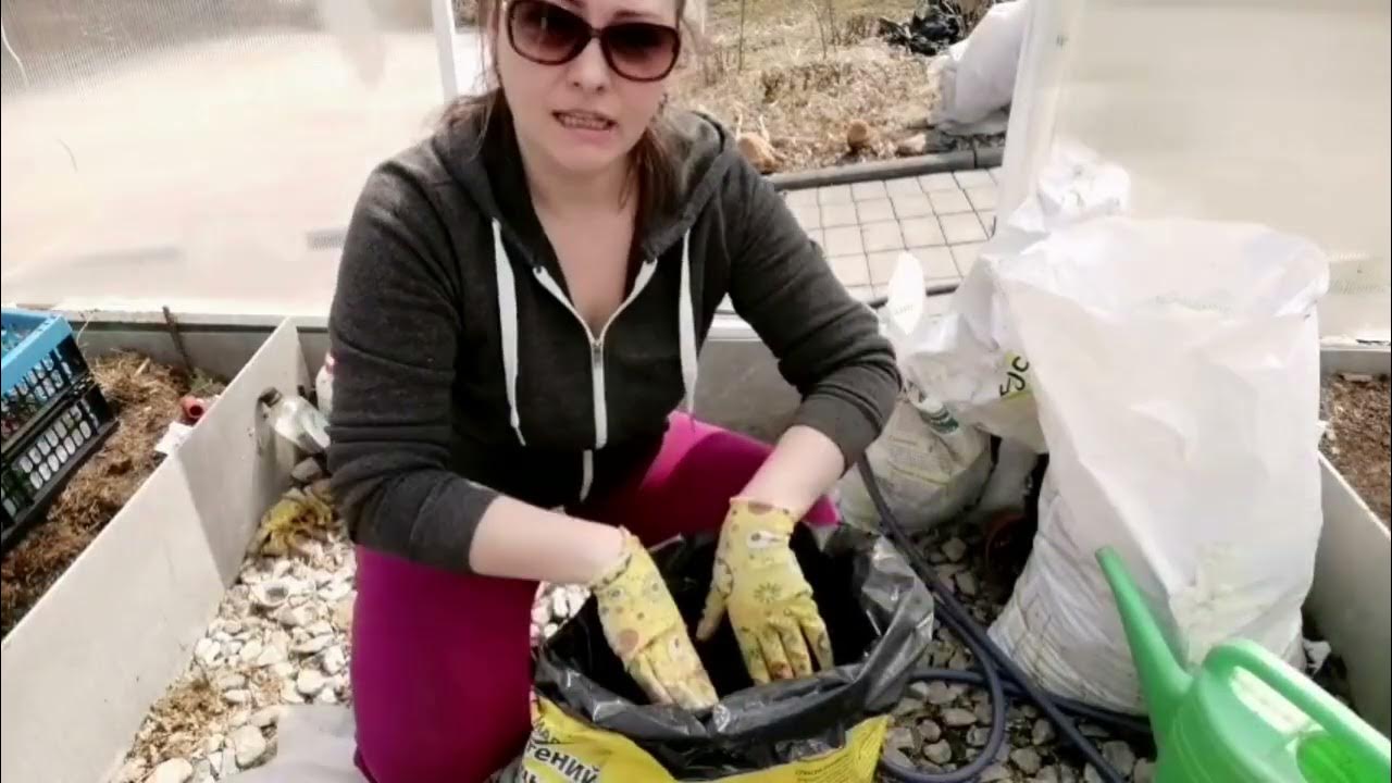 ВАМ НУЖНО ПОПРОБОВАТЬ ОГУРЦЫ В МЕШКАХ | ВЫРАЩИВАНИЕ И ФОРМИРОВАНИЕ ...