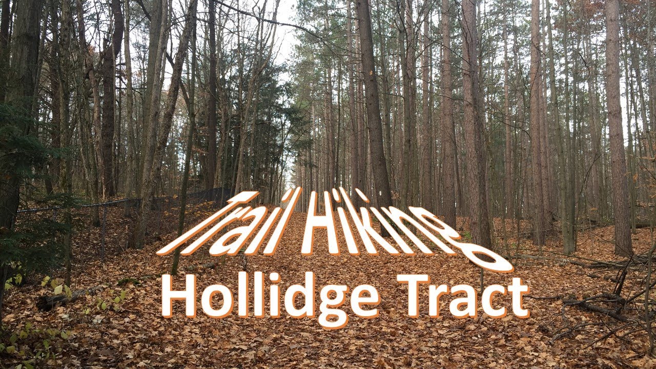 York Regional Forest - Hollidge Tract