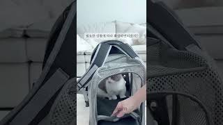 copy C7272831 C7BD 4D6D 83D1 122EB3914334 1