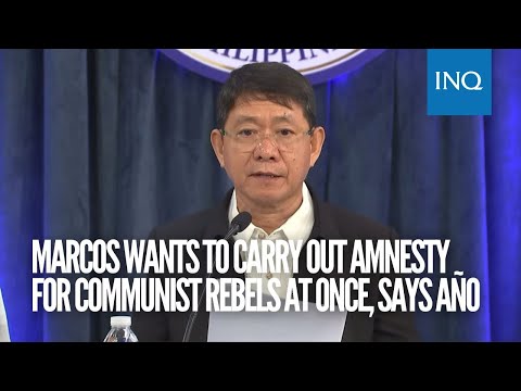 Marcos wants to carry out amnesty for communist rebels at once, says Año