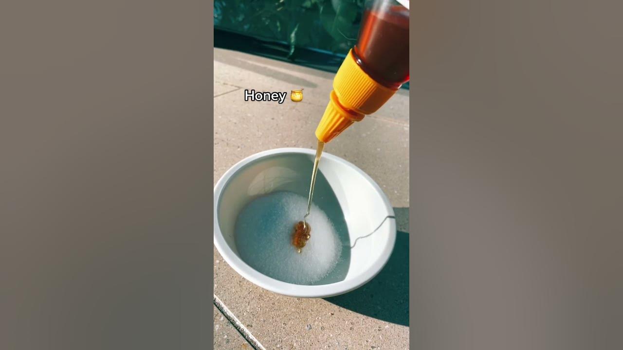 Body Scrub Tiktok xlifestyle randomx YouTube