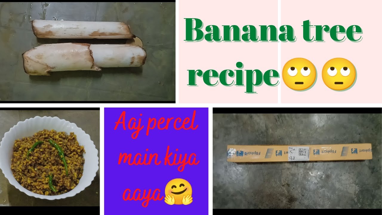 Banana Tree Recipe banana Stem Recipe percel Main Kiya Aaya banana banana-tree-recipe-banana-stem-recipe-percel-main-kiya-aaya-banana
