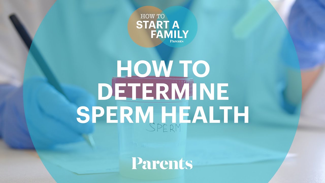 How to Determine Sperm Health How to Start a Family Parents YouTube