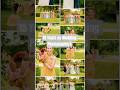 Wedding Photographers 15 Years Of Fun Together рџ рџ Ordinary Wedding Photographers 15 Years Of Fun Together рџ рџ Ordinary