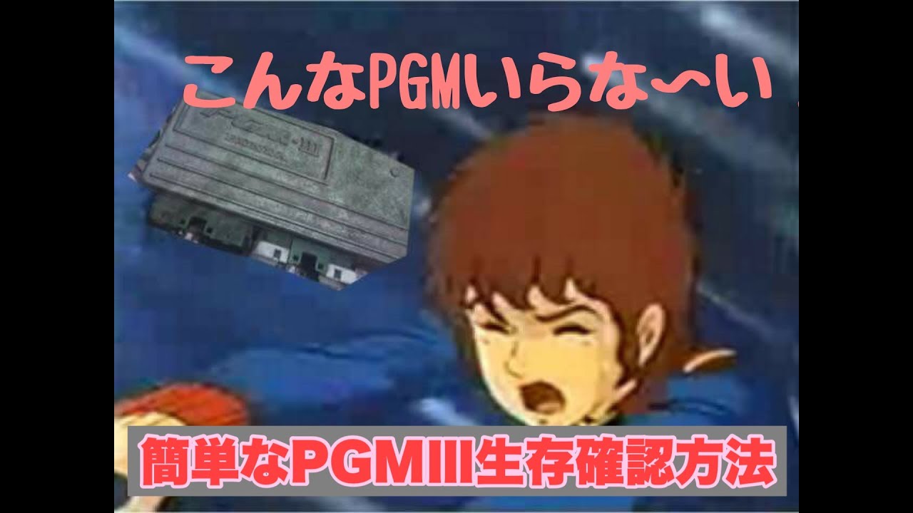 PGM3生存確認方法 NSR250R MC21 HRC JHA T2 2st dog fight harc