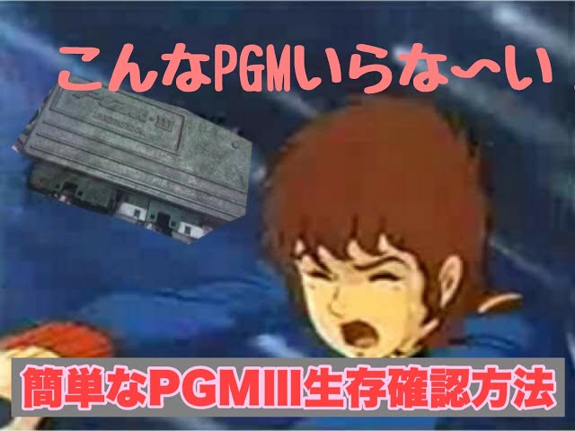 PGM3生存確認方法 NSR250R MC21 HRC JHA T2 2st dog fight harc
