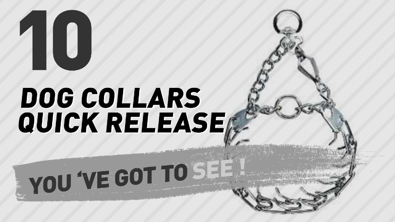 cats inn Dog Collars Quick Release // Top 10 Most Popular