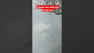 Download Lagu penomena alam, kabut tebal tiba tiba turun MP3