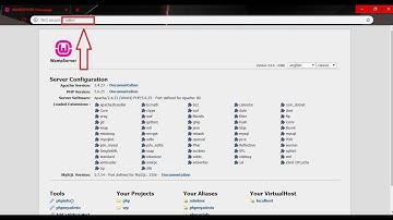 [Easy way] How to change Custom WAMP URL - No boring localhost! in wamp and xampp