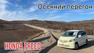 видео: Осенний перегон HONDA FREED картинка: Осенний перегон HONDA FREED