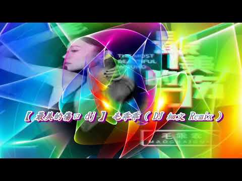 【 最美的傷口 dj 】毛乖乖 ( DJ 細文 Remix )