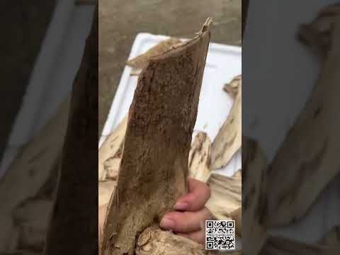 The Beauty of Vietnamese Agarwood 🪵🇻🇳