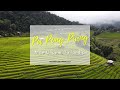 Tailandia 🇹🇭  Circuito Mae Hong Son -  Pa Pong Piang 🌾