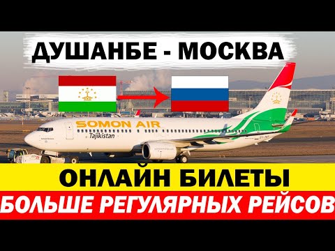 Авиарейсы Из Таджикистана В Россию. Больше регулярный рейсов ДУШАНБЕ МОСКВА