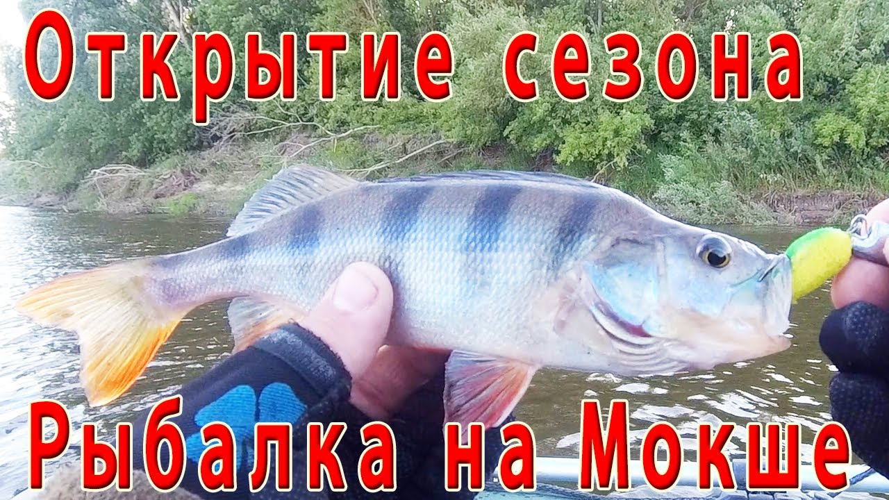 Рыбалка на реке Мокша. Открыли сезон 2023г..... - YouTube