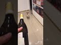 栓抜きをイッヌ様でしようとした結果。