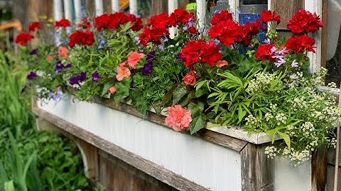 Planting a gorgeous Window Box~ with some special helpers!