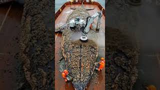 painful barnacles removed #whale  #whalerescue  #barnaclesremoval  #marinerescue  #ocean
