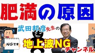 【武田邦彦】肥満の原因はコレ、肥満の人にたりないものとは・・