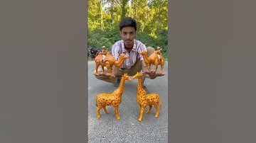 RC Remote Wala 2 gu Giraffe and 2 Ta Camel  Deko Friends 🥰