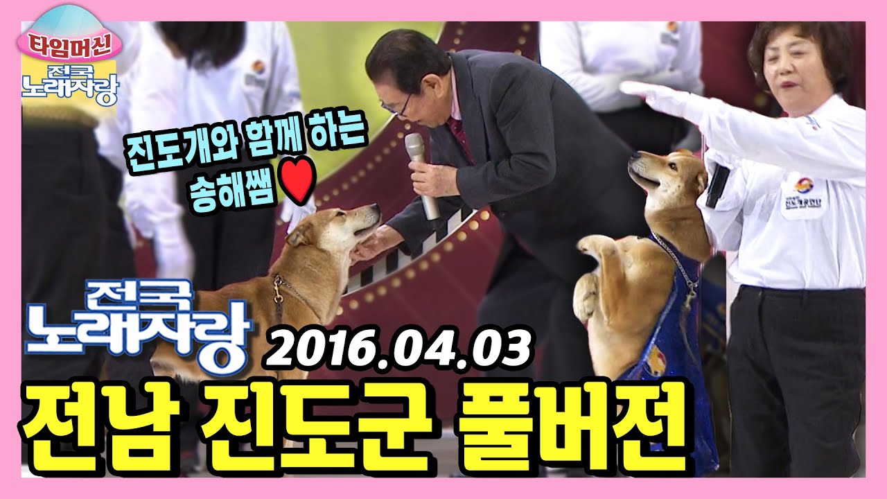 귀여운 개판! 🐶 역시 진도는 진도개! 🐕 본방송 끝나고 이어보는 전남 진도군 노래자랑 [타임머신🛸전국노래자랑] | KBS 160403 방송