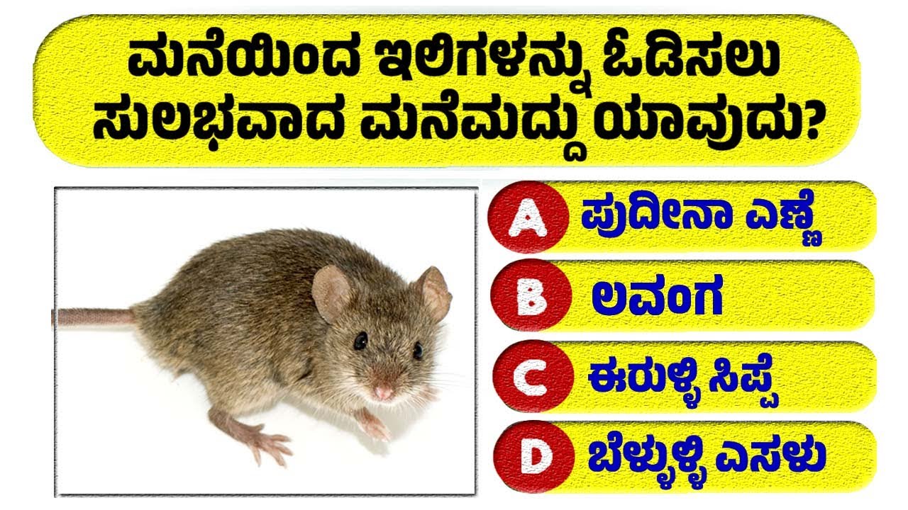 ಸಾಮಾನ್ಯ ಜ್ಞಾನ ! GeneralKnowleg Quiz!! GK Question || GK In Kannada || GK Quiz || Episode 845