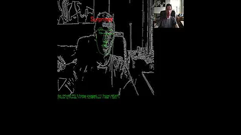 Automatic Facial Expression Recognition on Live video streams