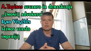 Andrius Tapinas profesionaliai demaskavo Igną Vėgėlę