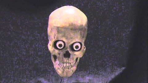 LINDBERG 3-AXIS TALKING SKULL