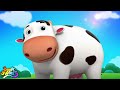 Old Mcdonald Had A Farm &amp; Fun Animal Sounds Kids Rhymes by Boom Buddies