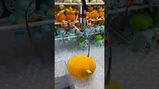Round 1 Claw Machine Win Pokémon