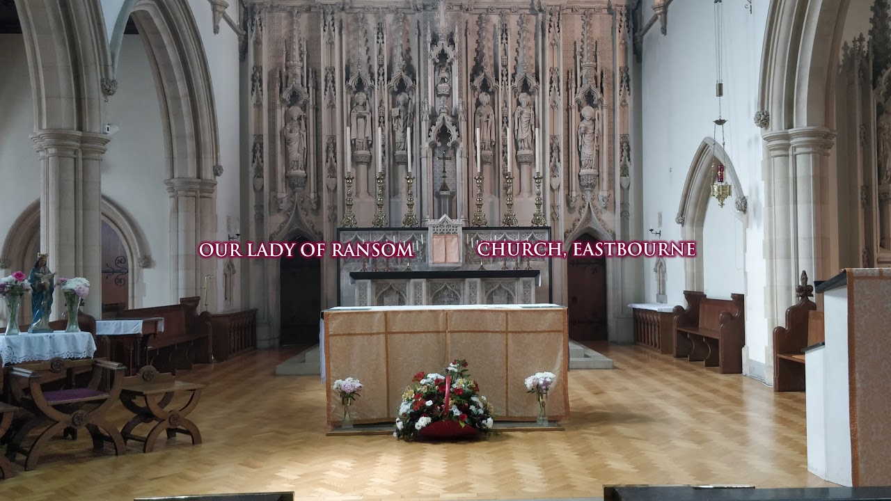 11am  Mass Thurs 12 Feb