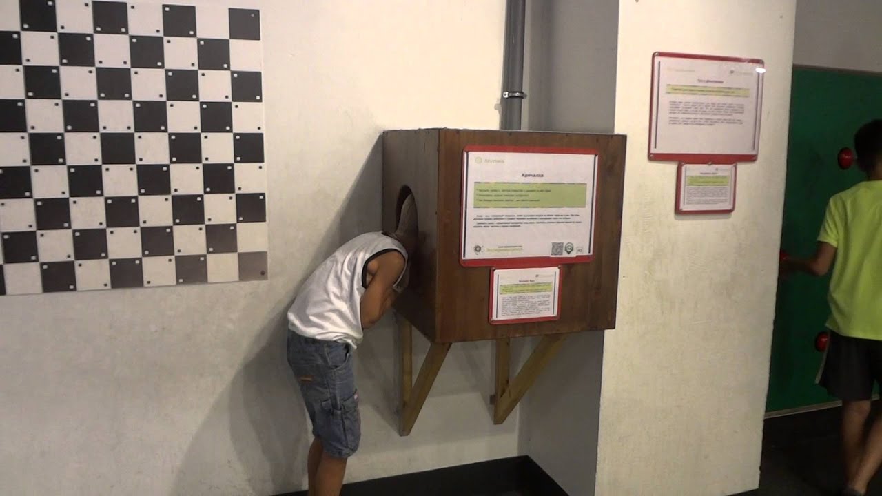 БЕШЕНАЯ КРИЧАЛКА. ЭКСПЕРИМЕНТАРИУМ. МОСКВА.2014 ГОД - YouTube