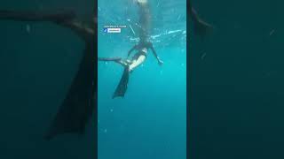 This octopus wouldn’t let go 🐙