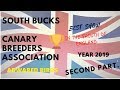 SOUTH BUCKS ADWARED BIRDS  2ª PART