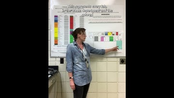 Lab Blab Episode 8 | Creating a Chemical Inventory System for Laboratories