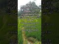 DOA KETIKA DALAM KESULITAN #shortvidio #dakwah #doa#amalan
